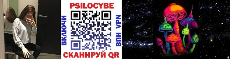 Галлюциногенные грибы Psilocybe  Купить где  Карабаново 